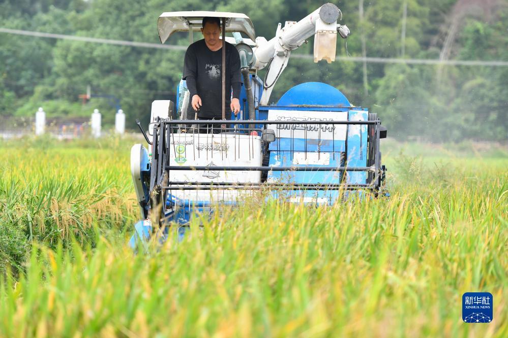 捕鱼世界游戏大厅